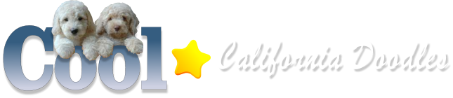 Cool California Doodles Logo