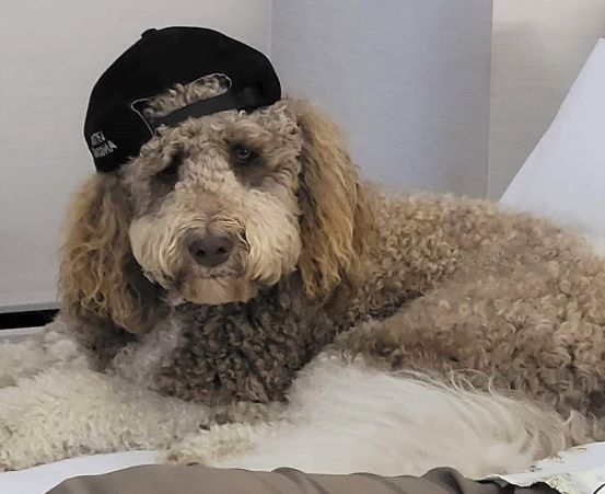 Beau is one cool dude!